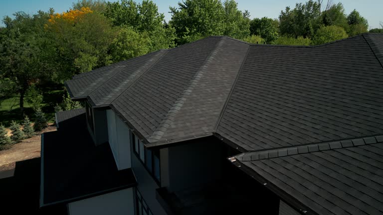Best Rubber Roofing (EPDM, TPO)  in Madison Heights, MI