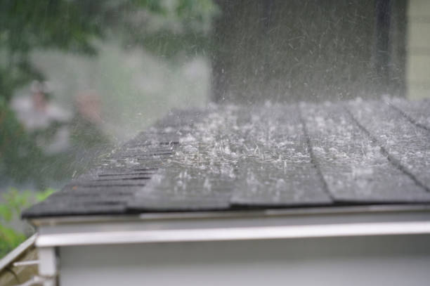 Best Steel Roofing  in Madison Heights, MI
