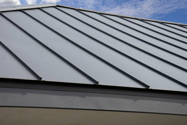 Best Skylight Installation and Repair  in Madison Heights, MI